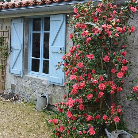 Lacave  La Maison Du Parc B&B 외부 사진